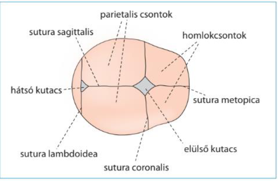 Pasted image 20251125144630.png|400